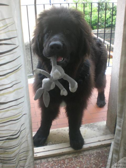 Фото: Ботсман