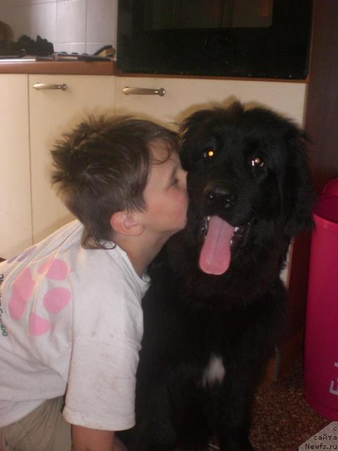 Фото: Ботсман