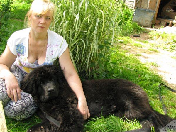 Фотография № 44794