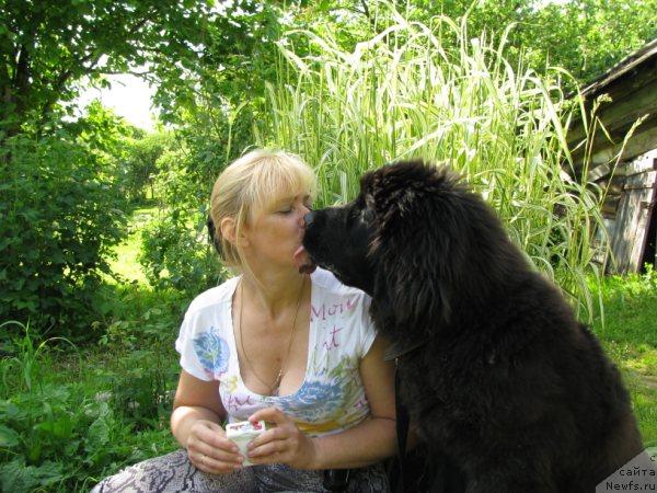 Фотография № 44797