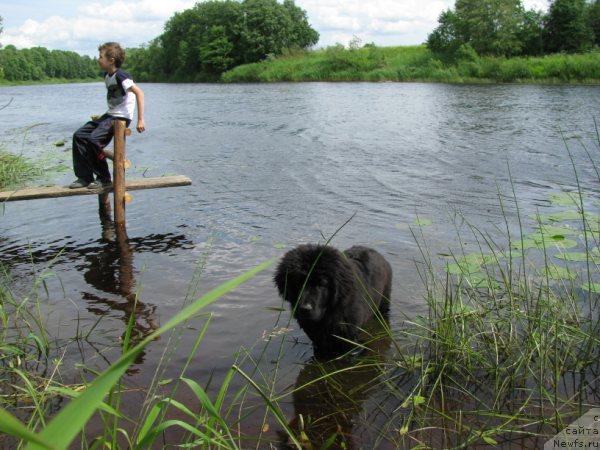 Фотография № 44798