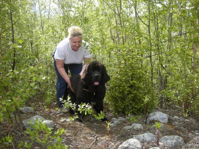 Фотография № 44801