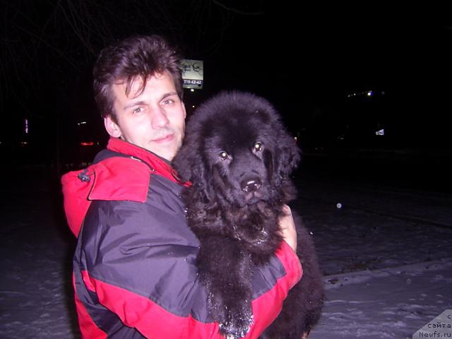 Фото: Денис Щеглов