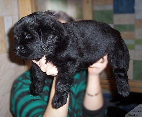 Фотография № 44810