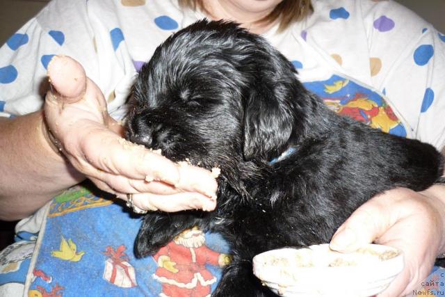 Фотография № 44811