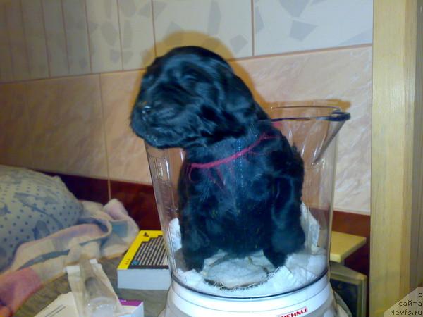 Фотография № 44819