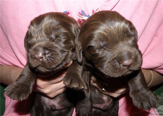 Фотография № 44822