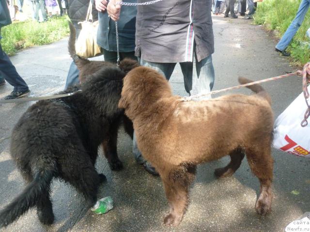 Фотография № 44825