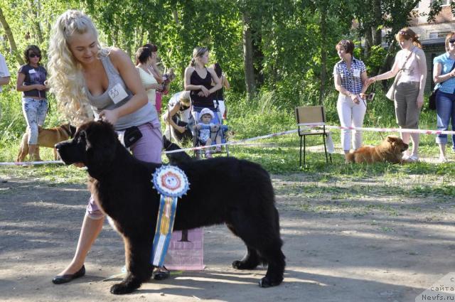 Фотография № 44827