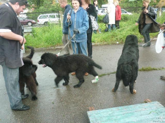 Фотография № 44887