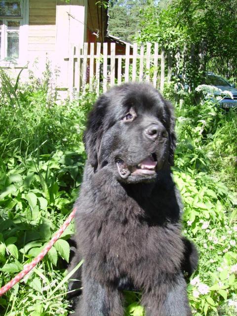 Фотография № 44947