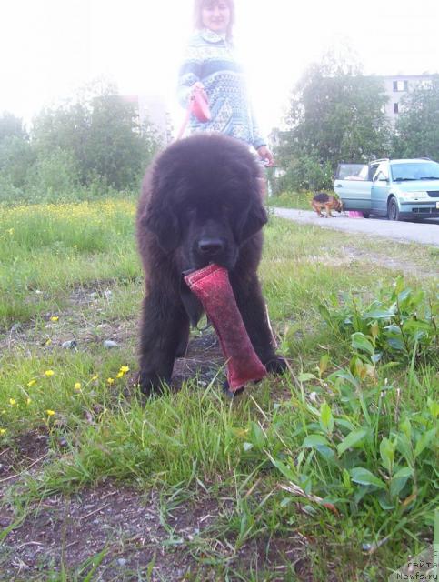 Фотография № 44952