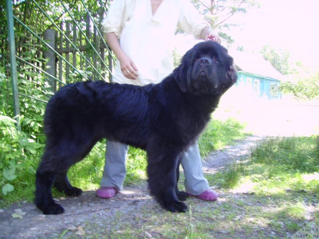 Фотография № 44953