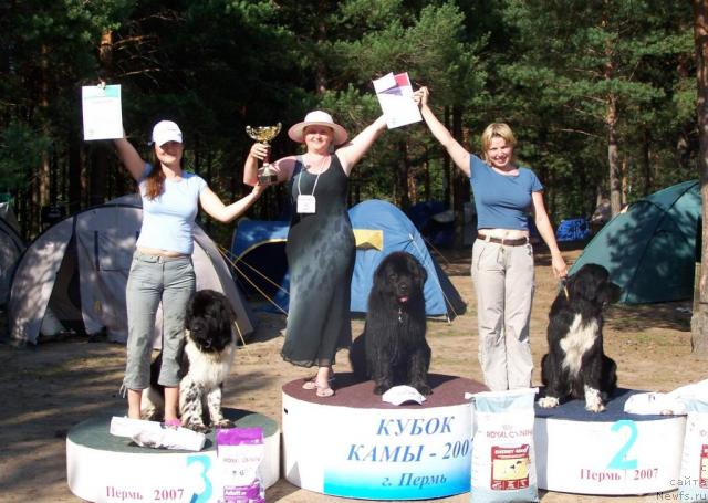 Фото: ньюфаундленд Акванавт из Тихого Омута (Akvanavt iz Tihogo Omuta), ньюфаундленд Супер Бизон Арго (Super Bizon Argo), ньюфаундленд Маг Исполин Елана (Mag Ispolin Elana), Татьяна Абутова, Елена Зайцева (Замятина), Ксения Новикова