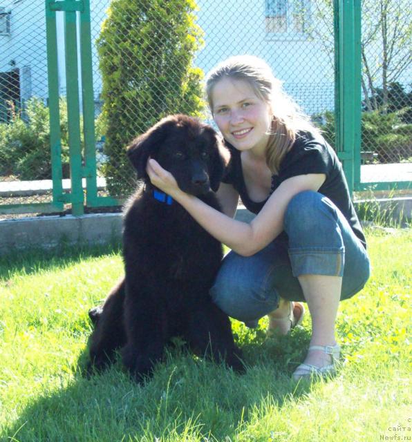 Фото: ньюфаундленд Самая Любимая, Надежда