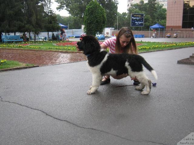 Фотография № 44980