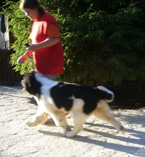 Фотография № 45076