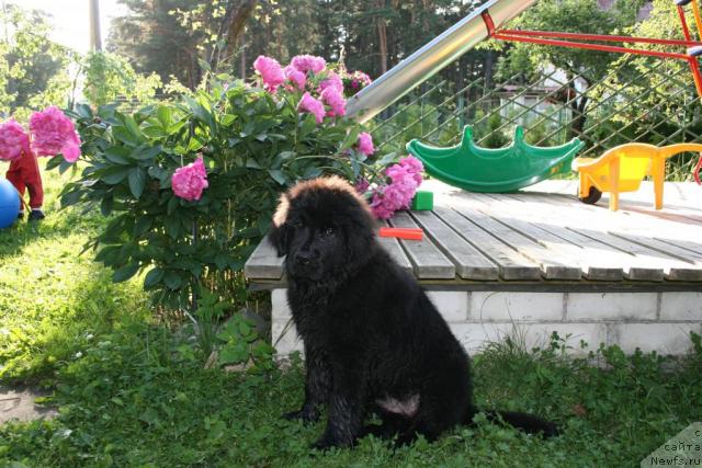 Фото: Наталия Рятсеп