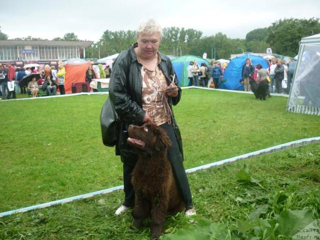 Фотография № 45120