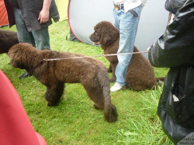 Фотография № 45135