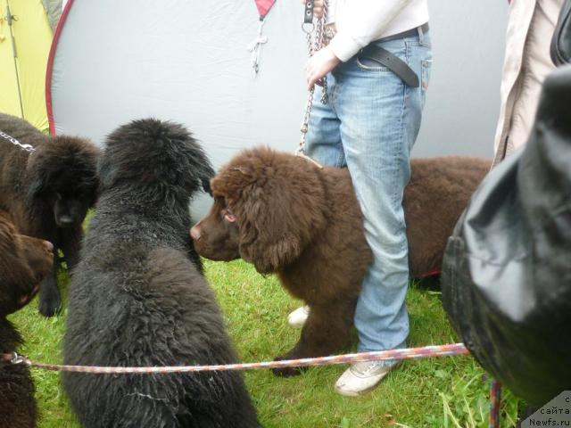 Фотография № 45138