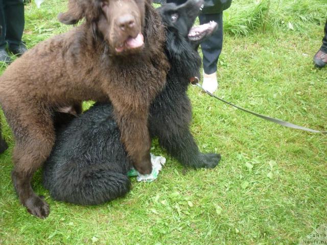 Фотография № 45142