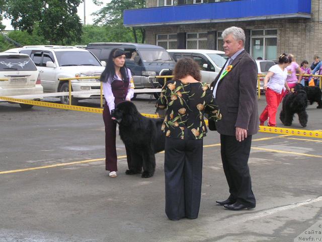 Фотография № 45223