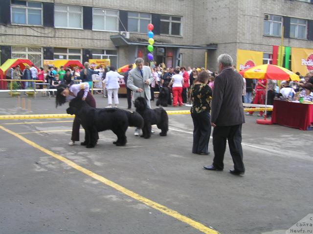 Фотография № 45228