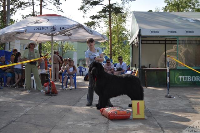 Фотография № 45230