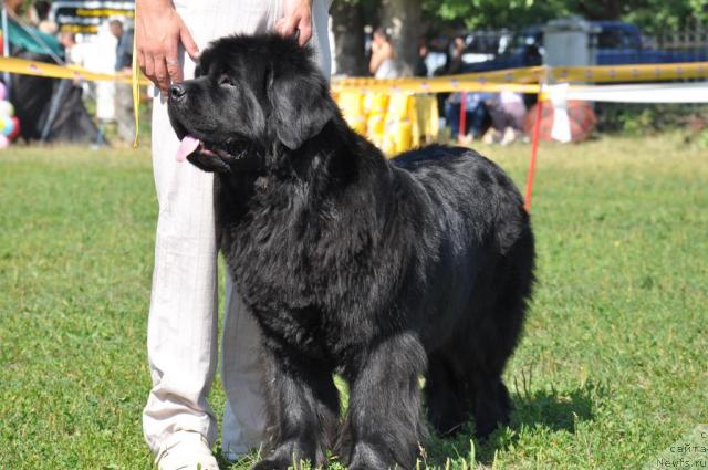 Фотография № 45242