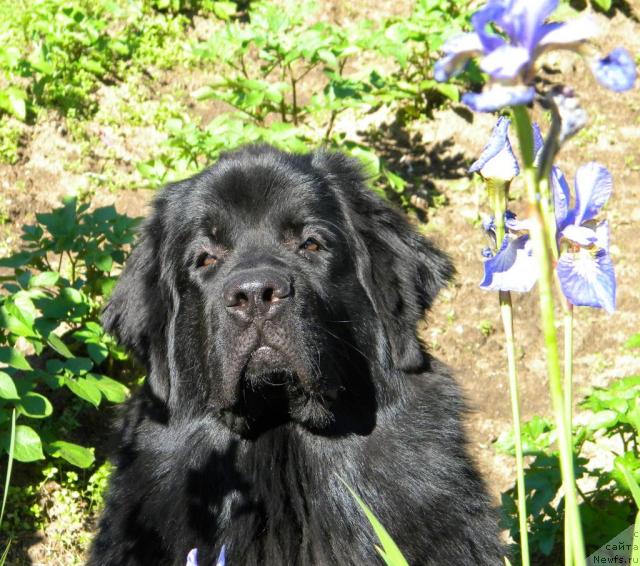 Фотография № 45254