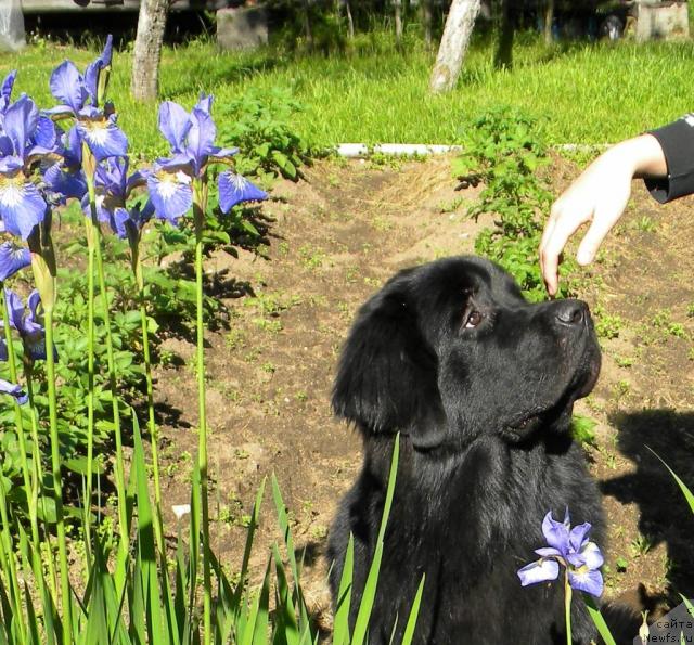 Фотография № 45256