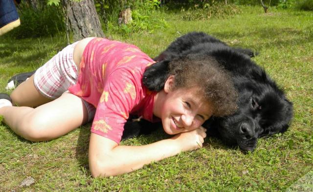 Фотография № 45258