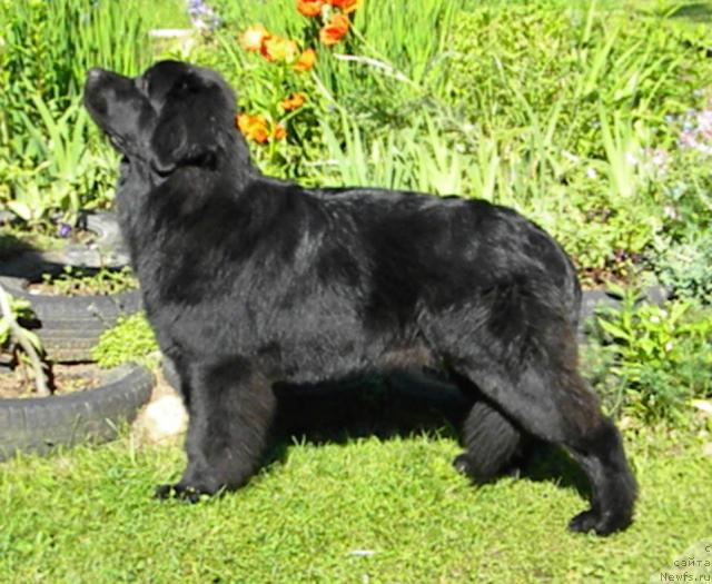 Фотография № 45262