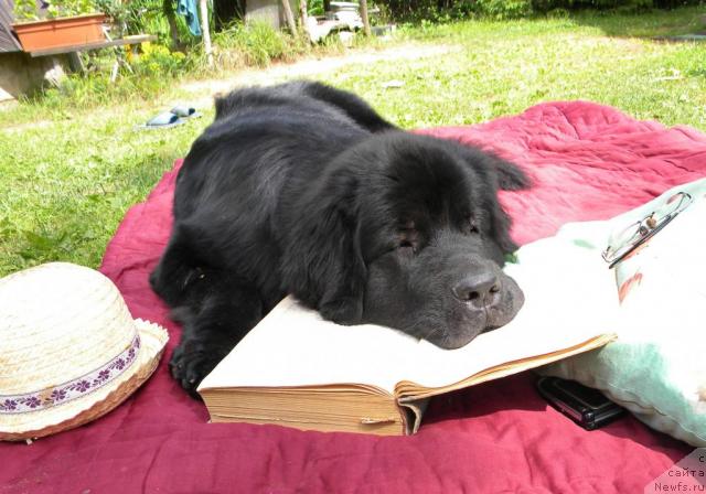 Фотография № 45269