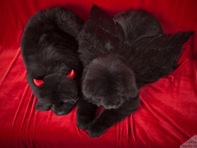 Фотография № 45272