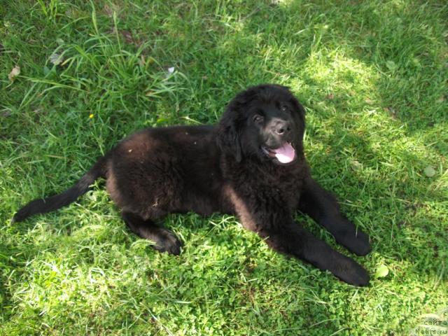 Фото: Татьяна Пуолокайнен