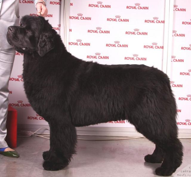 Фотография № 45360