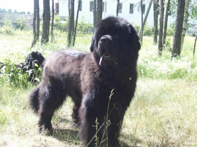 Фотография № 45369