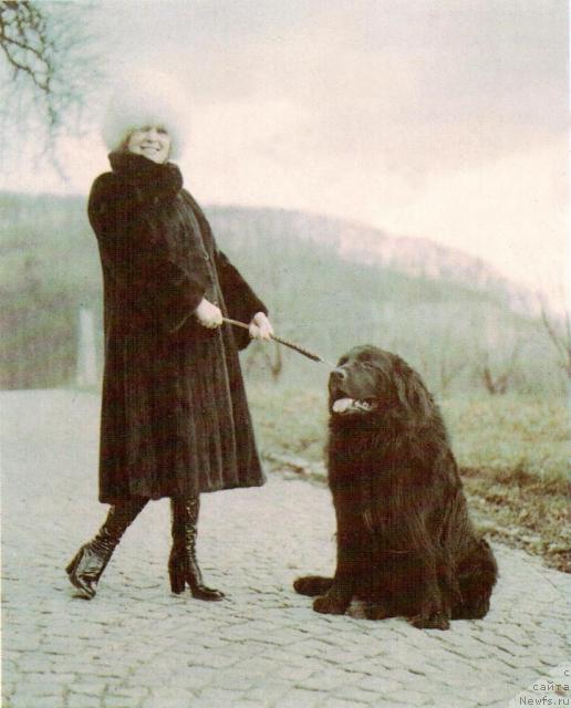 Фотография № 45372