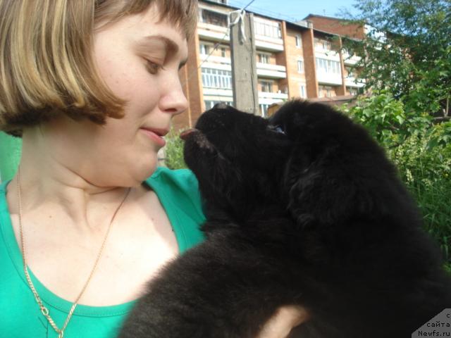 Фото: Ценитель Прекрасного из Аркаима, Светлана Хацкевич