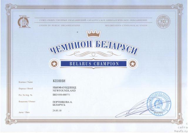 Фото: ньюфаундленд Кенни