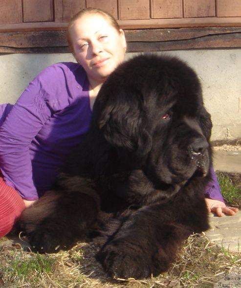 Фотография № 45462