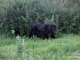 Фотография № 45492