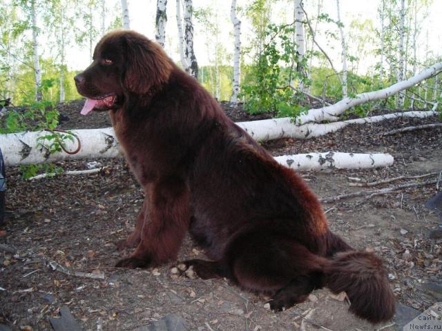 Фотография № 45500