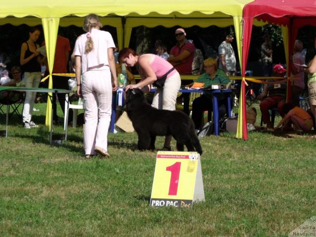 Фотография № 45501