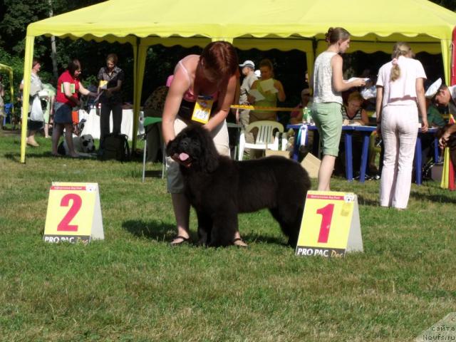 Фотография № 45504