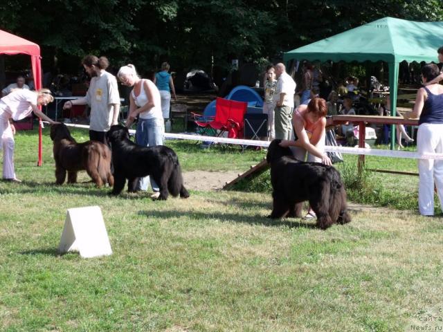 Фотография № 45505