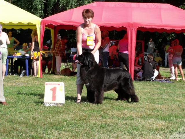 Фотография № 45507