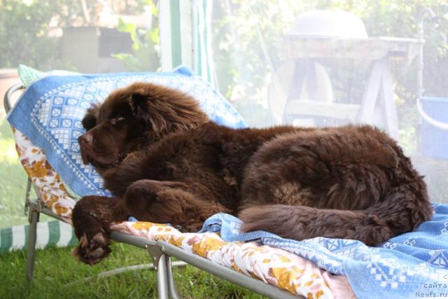 Фотография № 45519